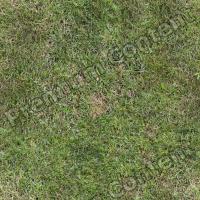 photo texture of grass seamless 0003